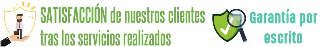 DINOS CUÁNDO